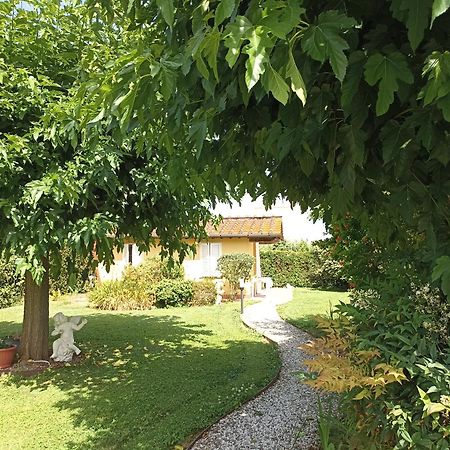 Piscina Privata Tiger Home, Toscana 卡潘诺里 外观 照片