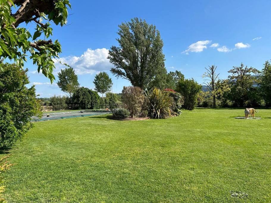 Piscina Privata Tiger Home, Toscana 卡潘诺里 外观 照片