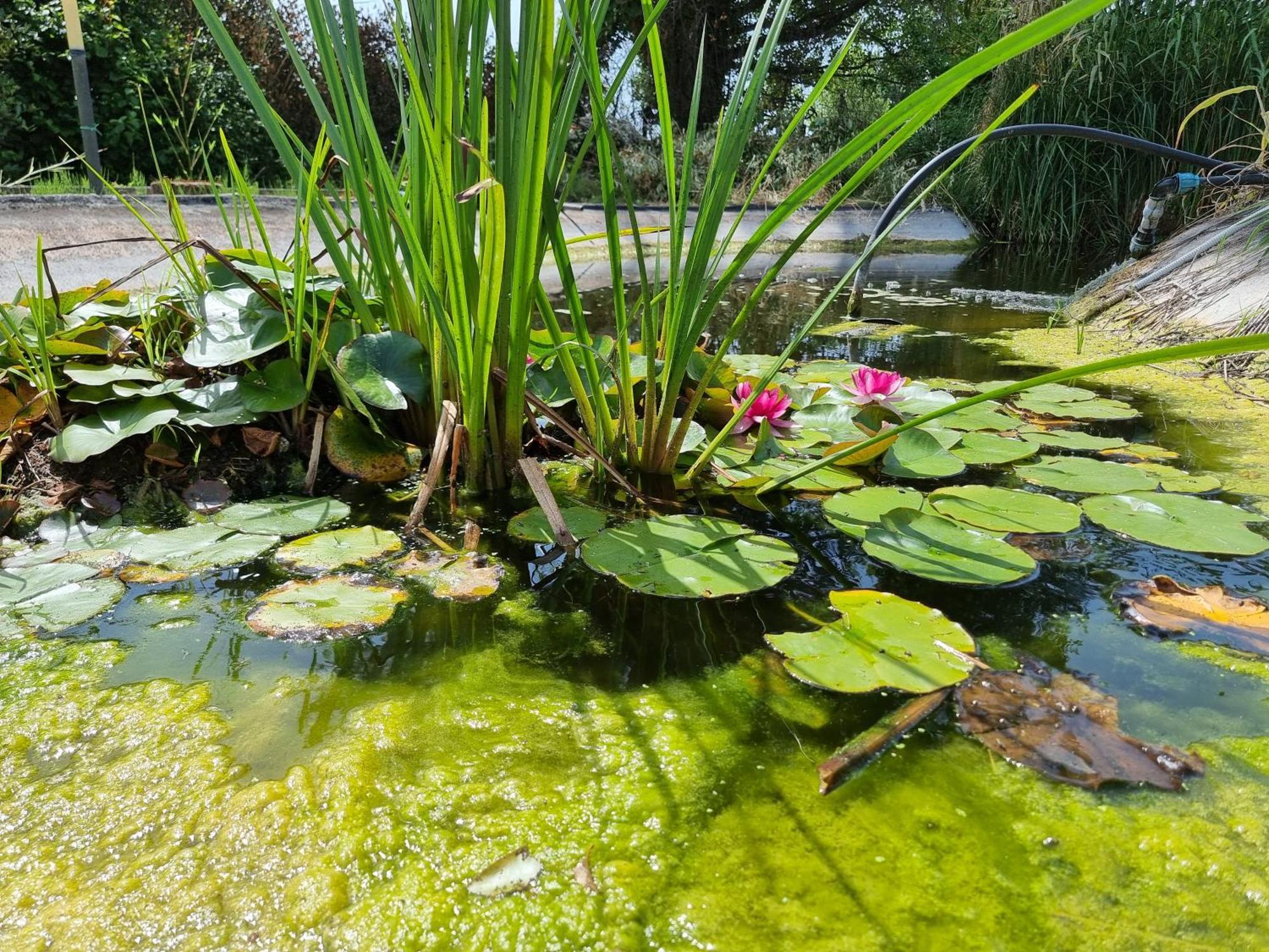 Piscina Privata Tiger Home, Toscana 卡潘诺里 外观 照片