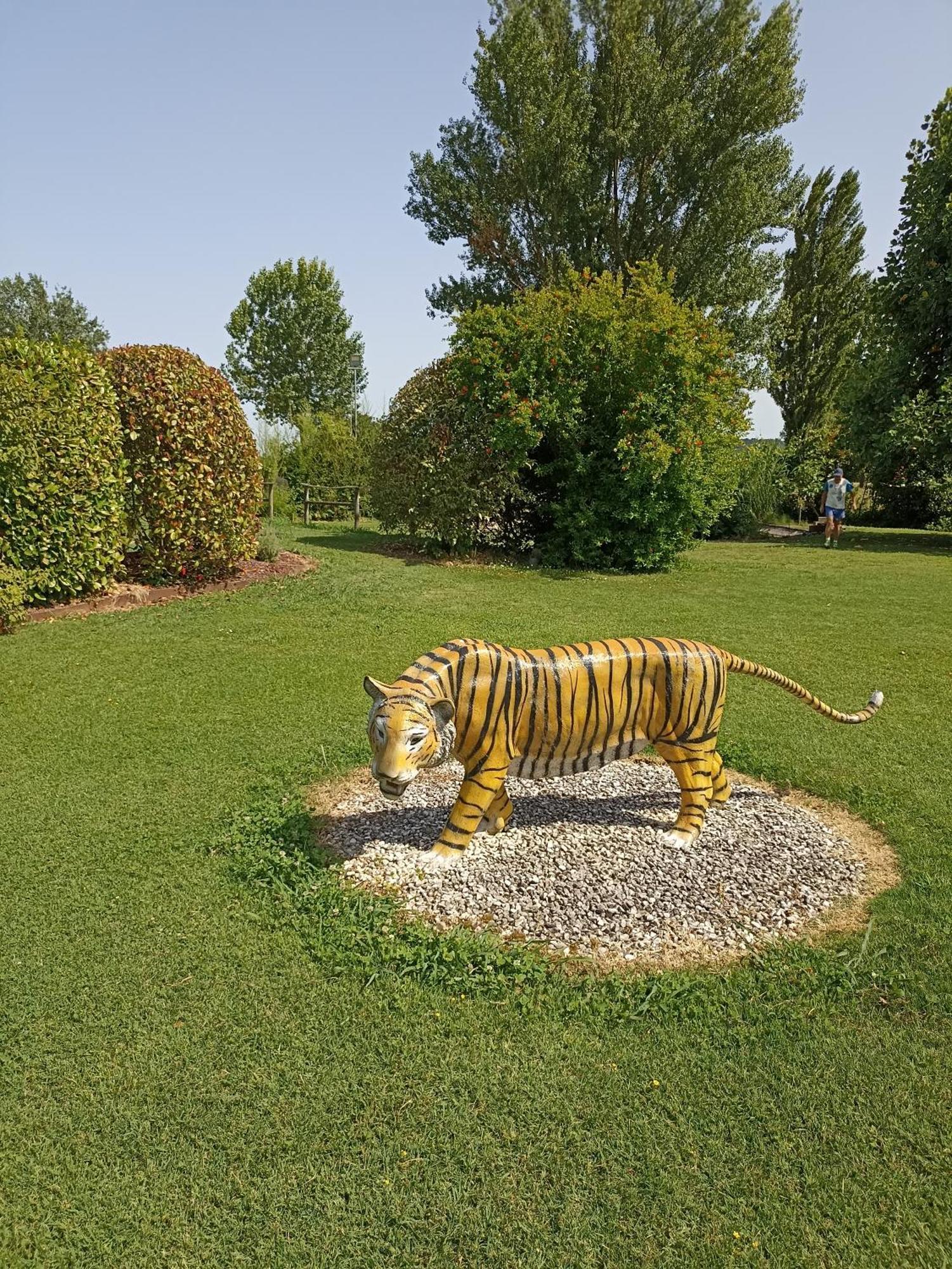 Piscina Privata Tiger Home, Toscana 卡潘诺里 外观 照片
